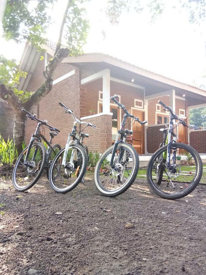 Genthong Homestay Magelang Εξωτερικό φωτογραφία