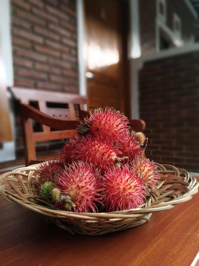 Genthong Homestay Magelang Εξωτερικό φωτογραφία